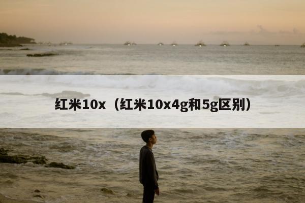 红米10x（红米10x4g和5g区别）