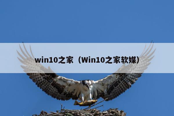 win10之家（Win10之家软媒）