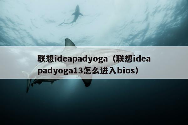 联想ideapadyoga（联想ideapadyoga13怎么进入bios）