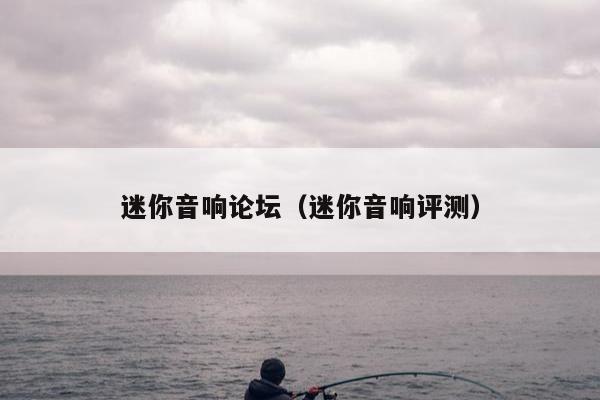 迷你音响论坛（迷你音响评测）