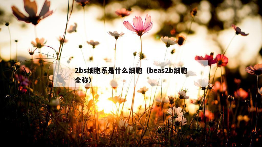 2bs细胞系是什么细胞（beas2b细胞全称）