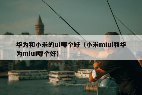 华为和小米的ui哪个好（小米miui和华为miui哪个好）