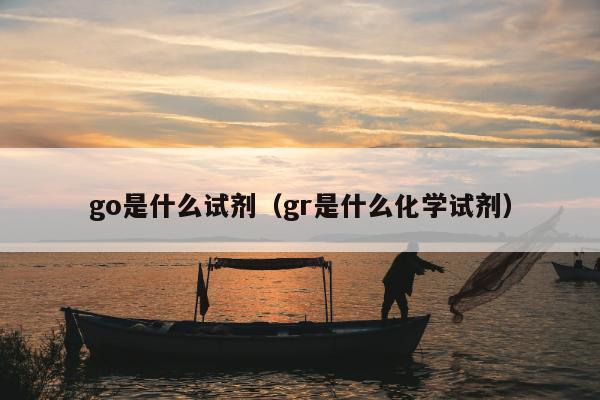 go是什么试剂（gr是什么化学试剂）