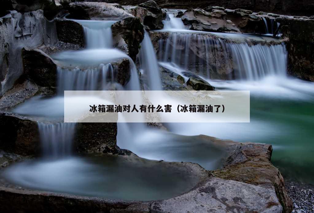 冰箱漏油对人有什么害（冰箱漏油了）