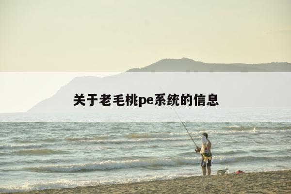 关于老毛桃pe系统的信息