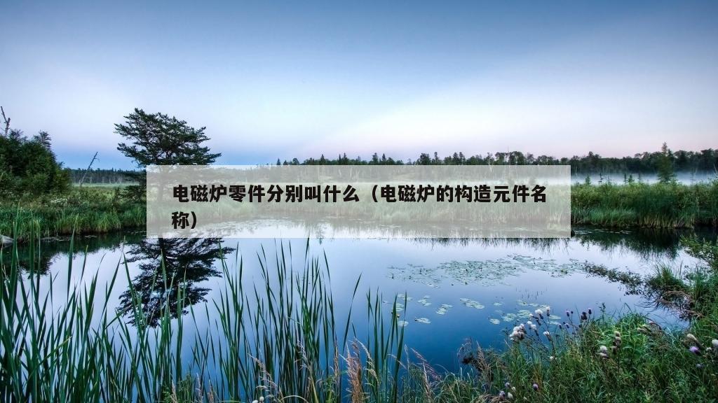 电磁炉零件分别叫什么（电磁炉的构造元件名称）