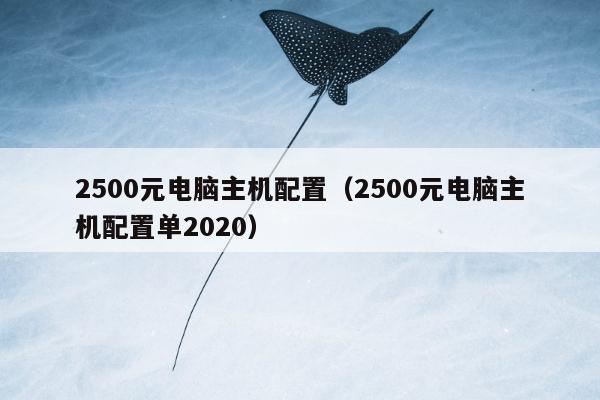 2500元电脑主机配置（2500元电脑主机配置单2020）