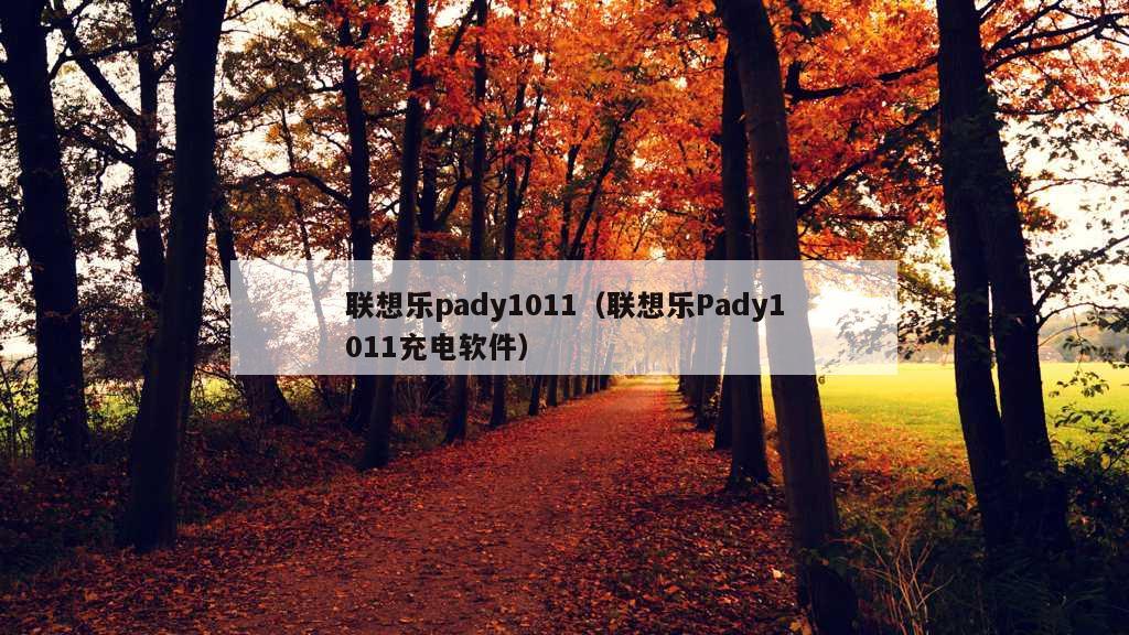 联想乐pady1011（联想乐Pady1011充电软件）