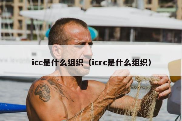 icc是什么组织（icrc是什么组织）