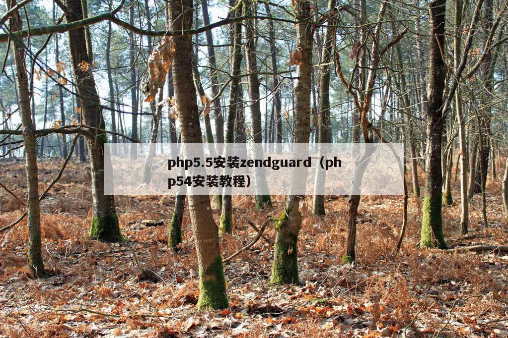 php5.5安装zendguard（php54安装教程）