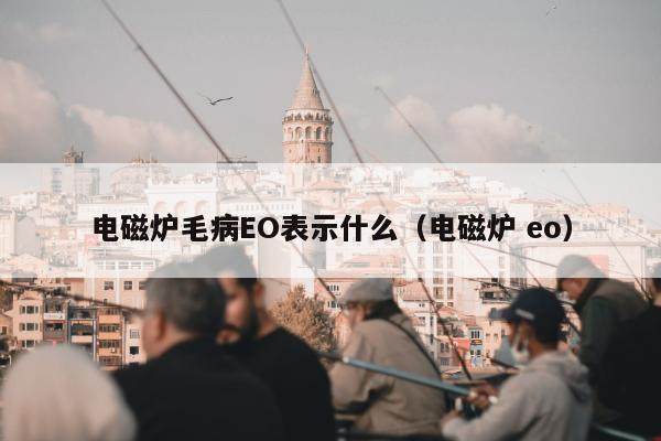 电磁炉毛病EO表示什么（电磁炉 eo）