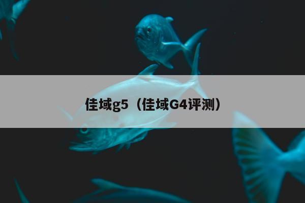 佳域g5（佳域G4评测）