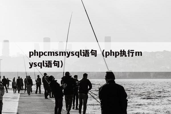 phpcmsmysql语句（php执行mysql语句）