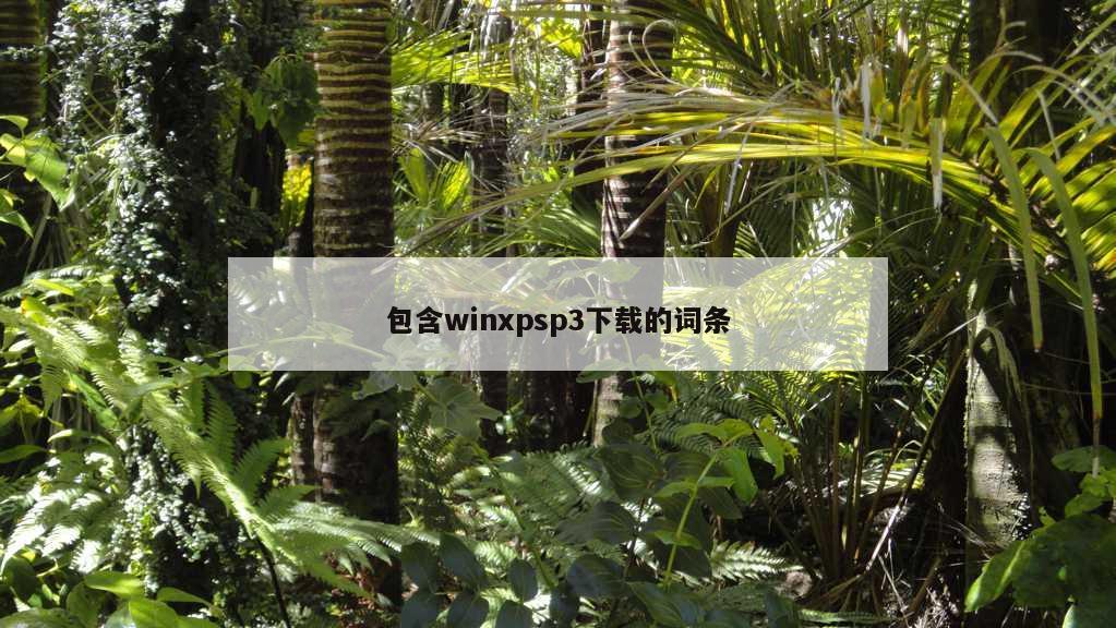 包含winxpsp3下载的词条