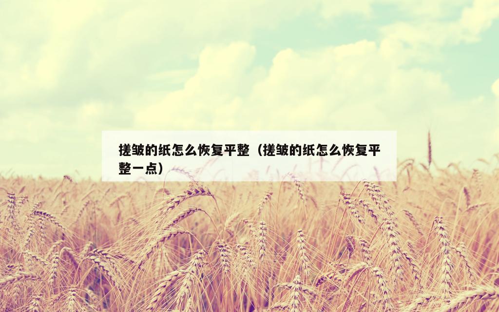 搓皱的纸怎么恢复平整（搓皱的纸怎么恢复平整一点）