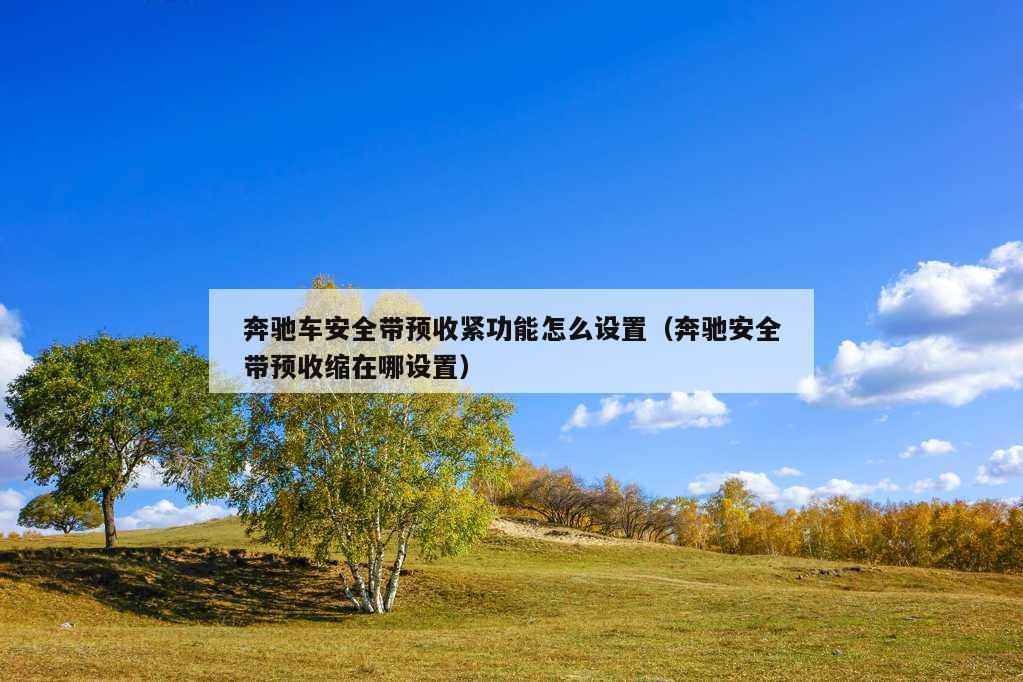 奔驰车安全带预收紧功能怎么设置（奔驰安全带预收缩在哪设置）