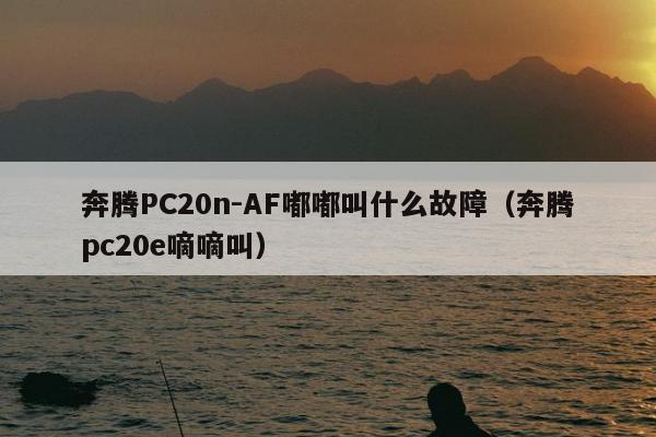 奔腾PC20n-AF嘟嘟叫什么故障（奔腾pc20e嘀嘀叫）