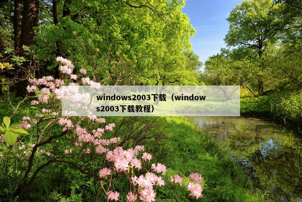 windows2003下载（windows2003下载教程）