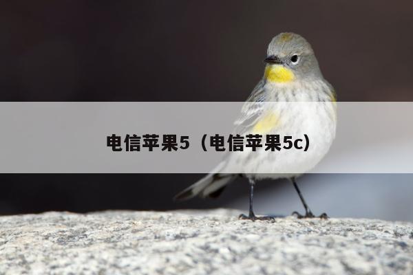 电信苹果5（电信苹果5c）