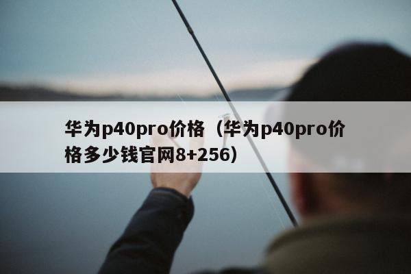 华为p40pro价格（华为p40pro价格多少钱官网8+256）