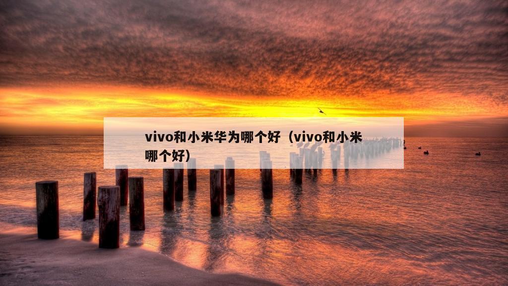 vivo和小米华为哪个好（vivo和小米哪个好）