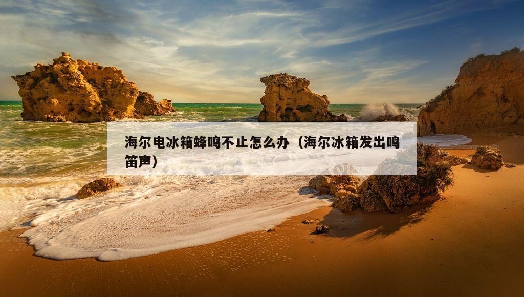 海尔电冰箱蜂鸣不止怎么办（海尔冰箱发出鸣笛声）