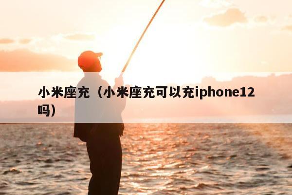 小米座充（小米座充可以充iphone12吗）