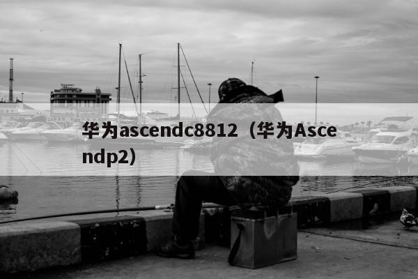 华为ascendc8812（华为Ascendp2）