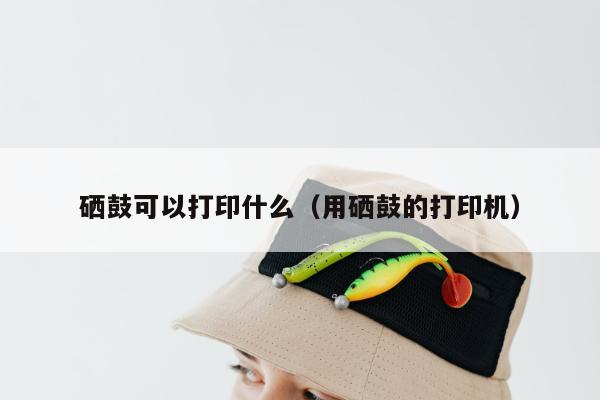 硒鼓可以打印什么（用硒鼓的打印机）