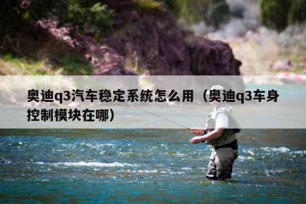 奥迪q3汽车稳定系统怎么用（奥迪q3车身控制模块在哪）