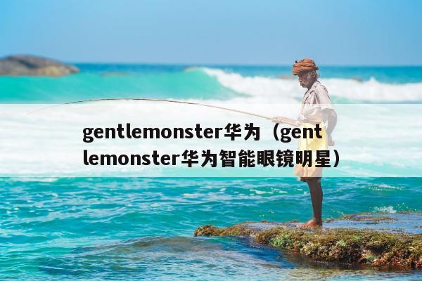 gentlemonster华为（gentlemonster华为智能眼镜明星）