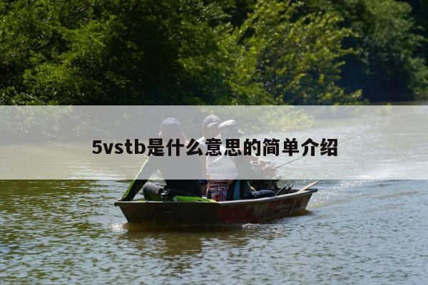 5vstb是什么意思的简单介绍