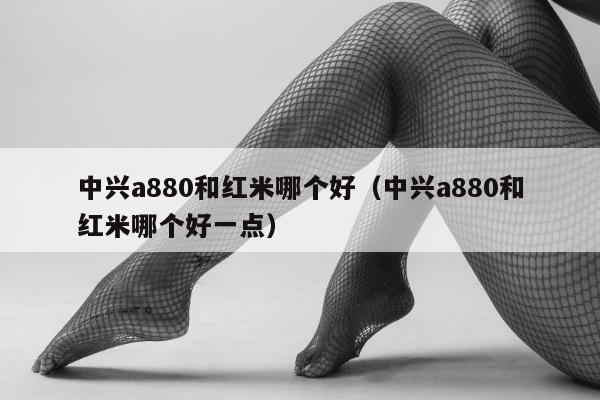 中兴a880和红米哪个好（中兴a880和红米哪个好一点）