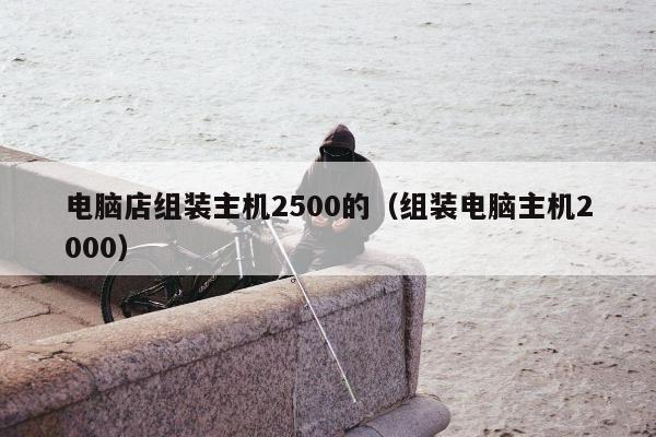 电脑店组装主机2500的（组装电脑主机2000）