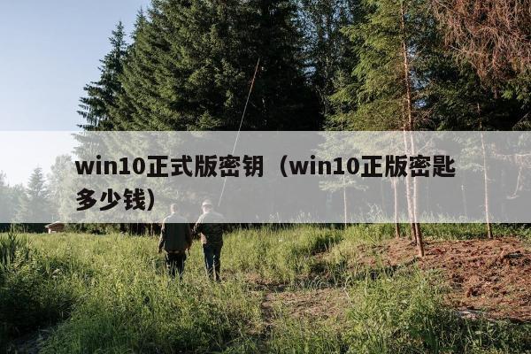 win10正式版密钥（win10正版密匙多少钱）