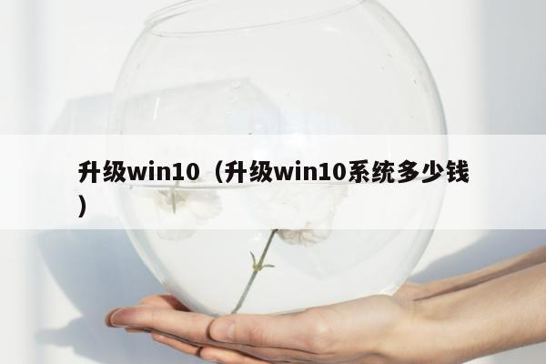 升级win10（升级win10系统多少钱）