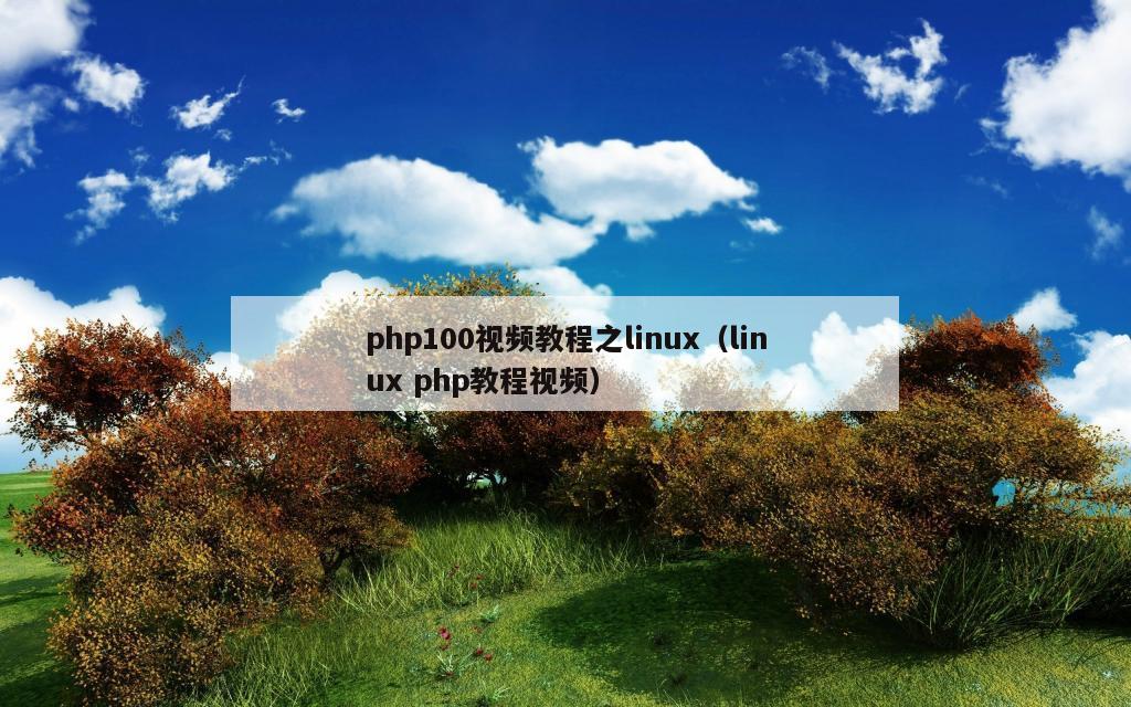 php100视频教程之linux（linux php教程视频）