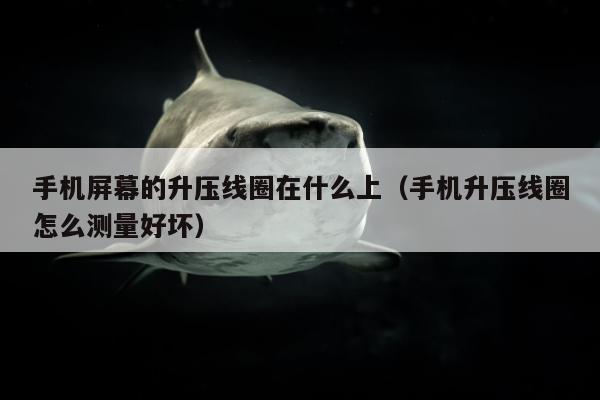 手机屏幕的升压线圈在什么上（手机升压线圈怎么测量好坏）