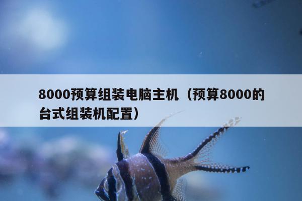 8000预算组装电脑主机（预算8000的台式组装机配置）