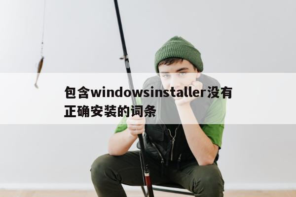 包含windowsinstaller没有正确安装的词条