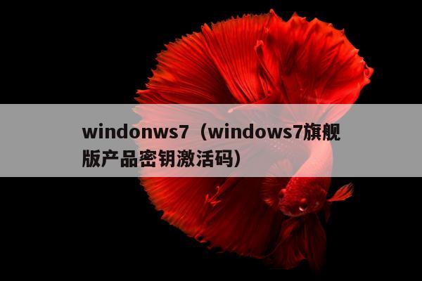 windonws7（windows7旗舰版产品密钥激活码）