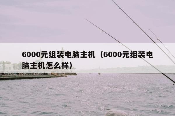 6000元组装电脑主机（6000元组装电脑主机怎么样）