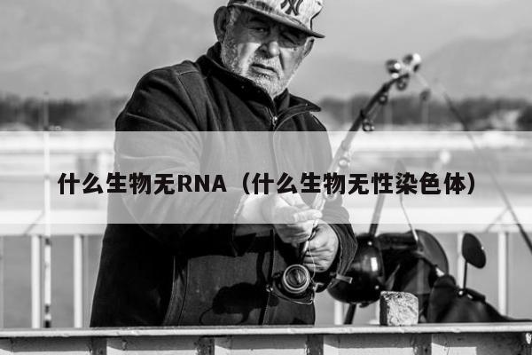 什么生物无RNA（什么生物无性染色体）