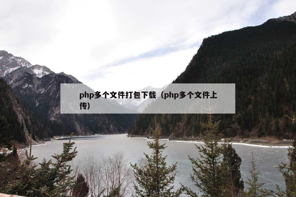 php多个文件打包下载（php多个文件上传）