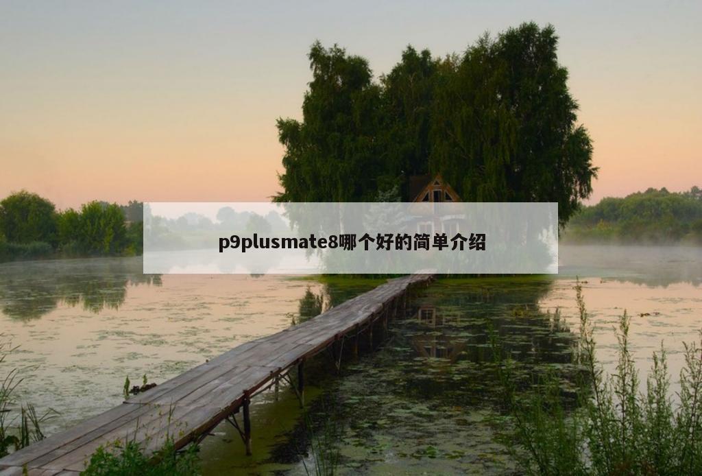 p9plusmate8哪个好的简单介绍