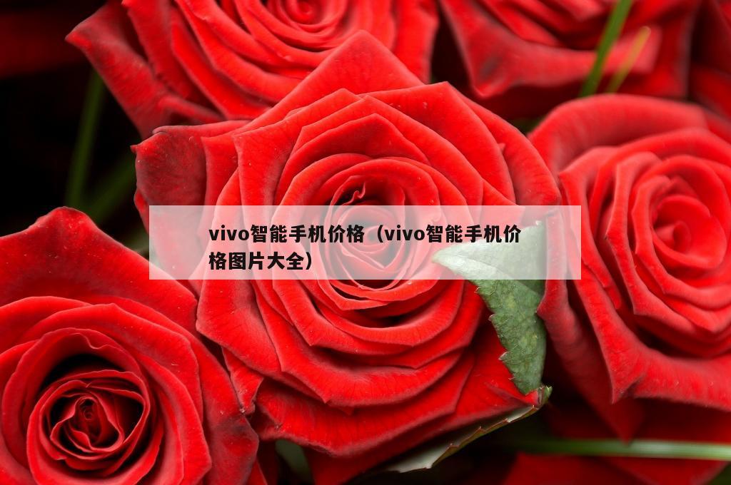 vivo智能手机价格（vivo智能手机价格图片大全）