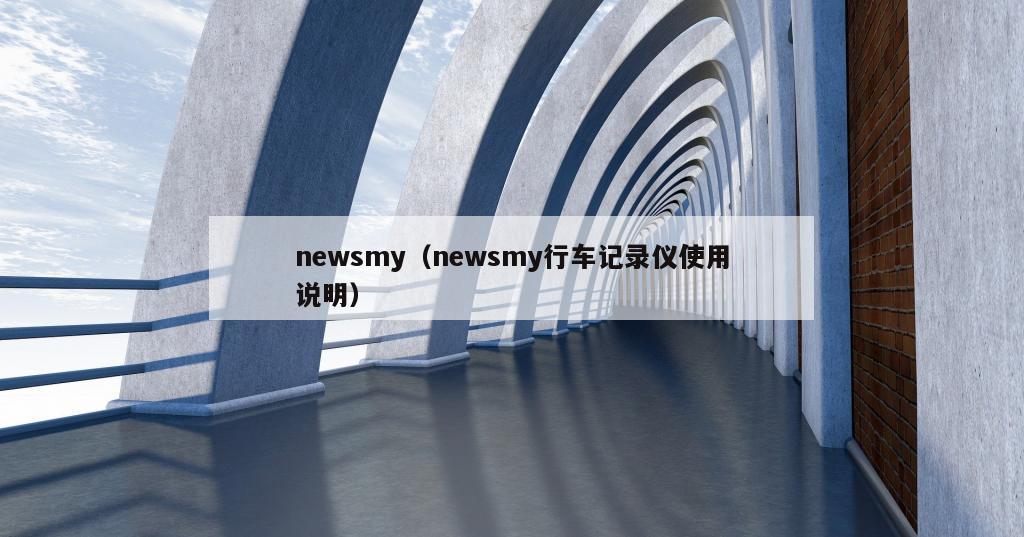 newsmy（newsmy行车记录仪使用说明）