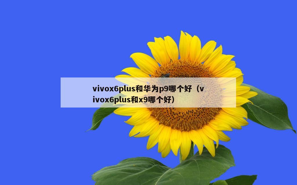 vivox6plus和华为p9哪个好（vivox6plus和x9哪个好）