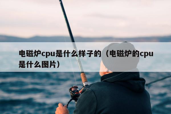 电磁炉cpu是什么样子的（电磁炉的cpu是什么图片）