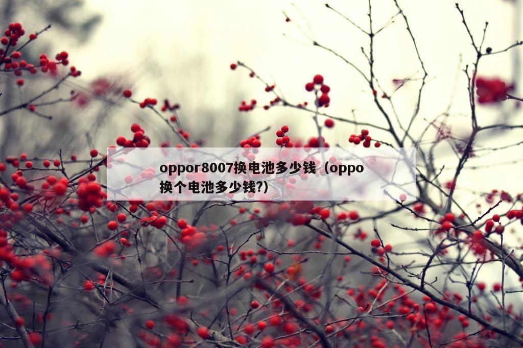 oppor8007换电池多少钱（oppo换个电池多少钱?）